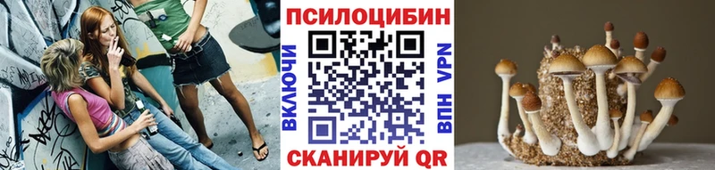 Псилоцибиновые грибы GOLDEN TEACHER  Краснокамск 